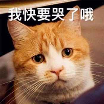 006 投影仪不伤宝宝眼睛?莫被“黑科技”收割了智商税