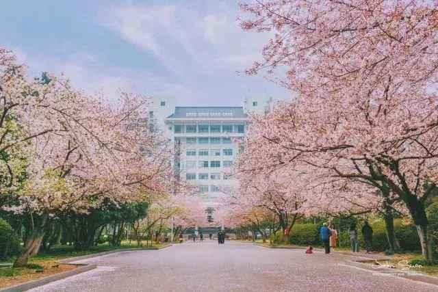 挽回女朋友可以跟她讲道理吗