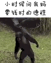 搞笑gif