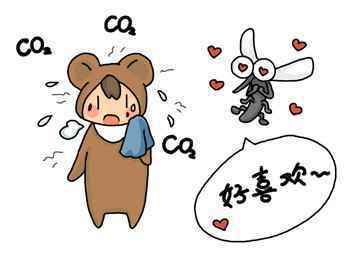 1 住在高层,为何还有蚊子来骚扰?你太小看蚊子了!