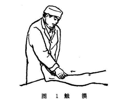 推拿师如何进行接骨复位呢?学会这8种手法推拿8,骨折伤痛轻松调理