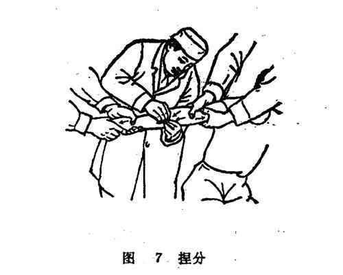 推拿师如何进行接骨复位呢?学会这8种手法推拿8,骨折伤痛轻松调理