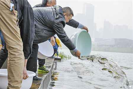 严惩非法捕捞促进生态修复1.1万尾鱼苗投放湘江