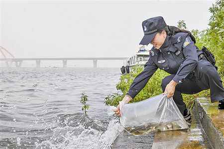 严惩非法捕捞促进生态修复1.1万尾鱼苗投放湘江