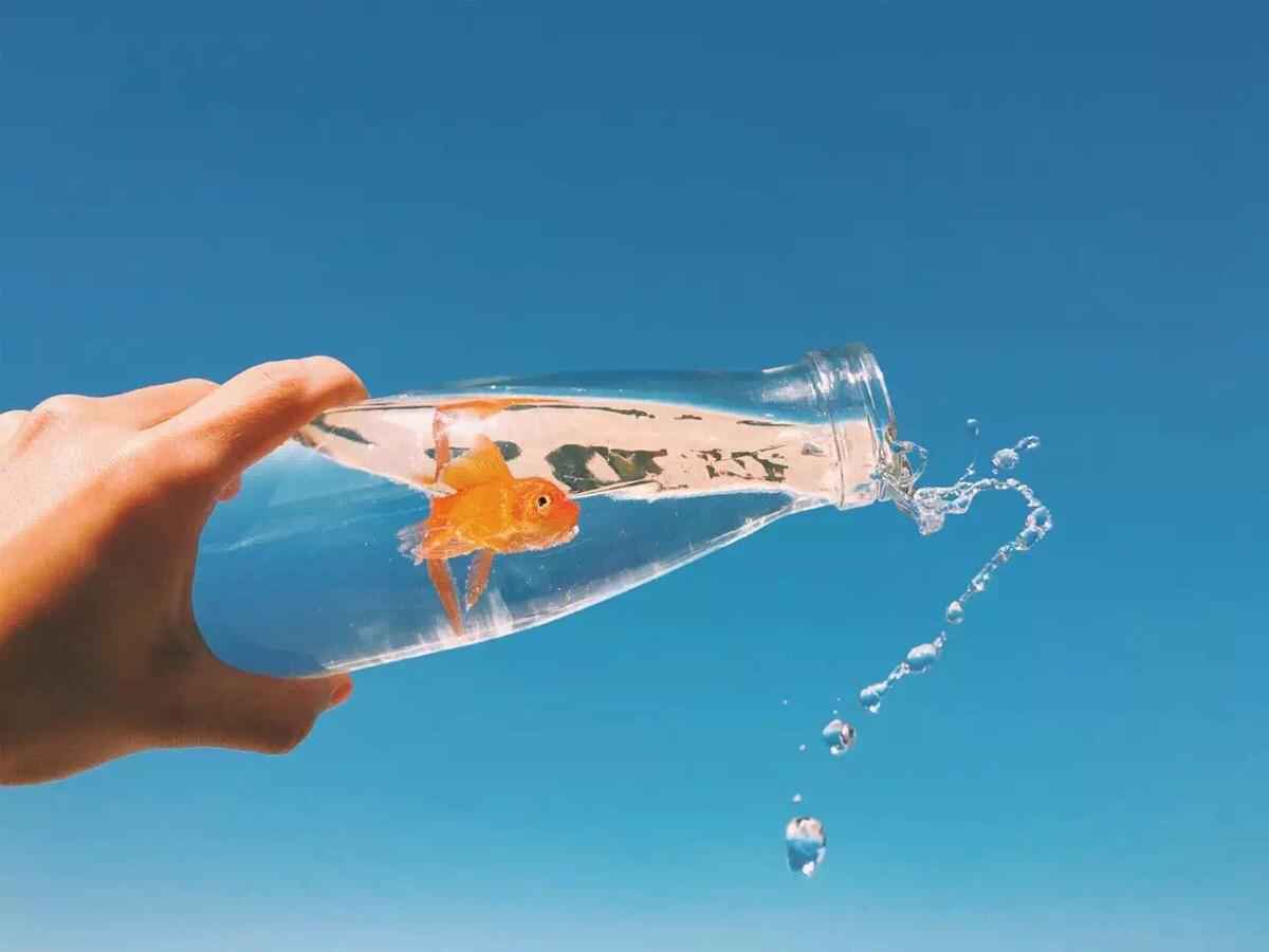 要看透男人的分手理由 要看透男人的分手理由