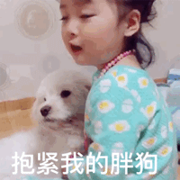 小萝莉gif