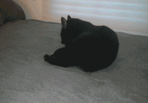搞笑生活