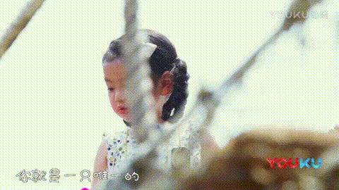 动态gif
