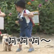 动态图片