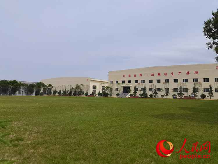 习近平在青海点赞的“致富毯”,啥样?