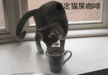 搞笑猫咪图片