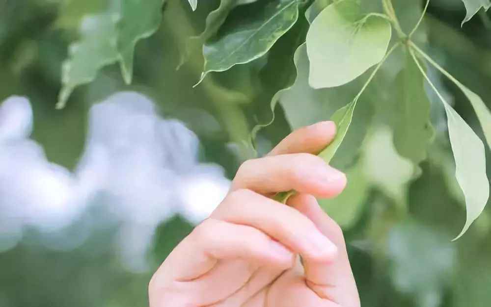 分手后想要追回男友,试试这样做: 分手后想要追回男友,试试这样做: