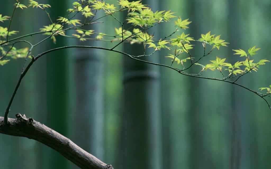分居对夫妻有什么影响 分居对夫妻有什么影响