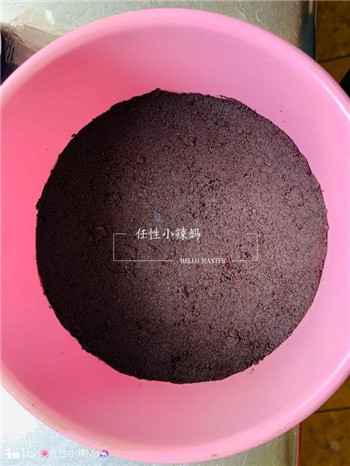 005 自制芒果慕斯蛋糕,冰爽清甜,不用烤箱就能做!