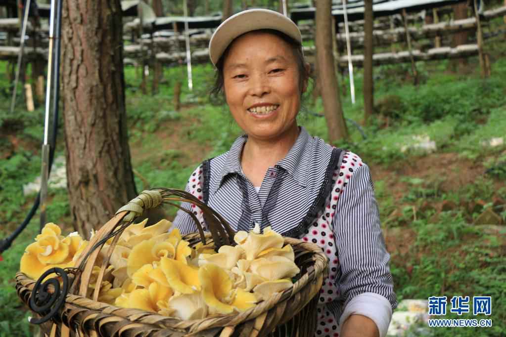 建设人与自然和谐共生的美丽家园习近平生态文明思想基层生动实践新观察