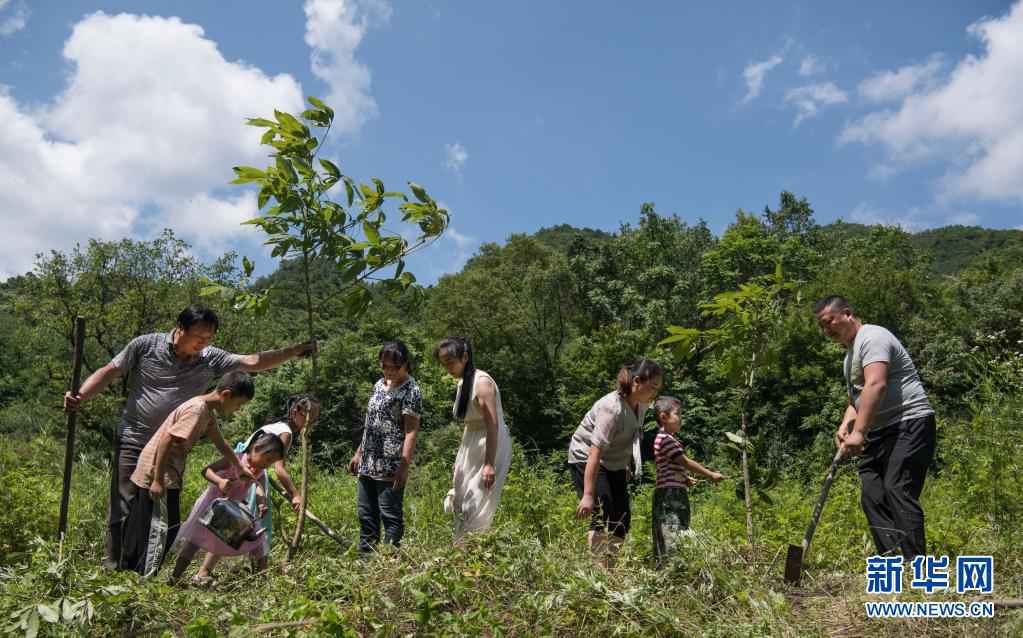 建设人与自然和谐共生的美丽家园习近平生态文明思想基层生动实践新观察