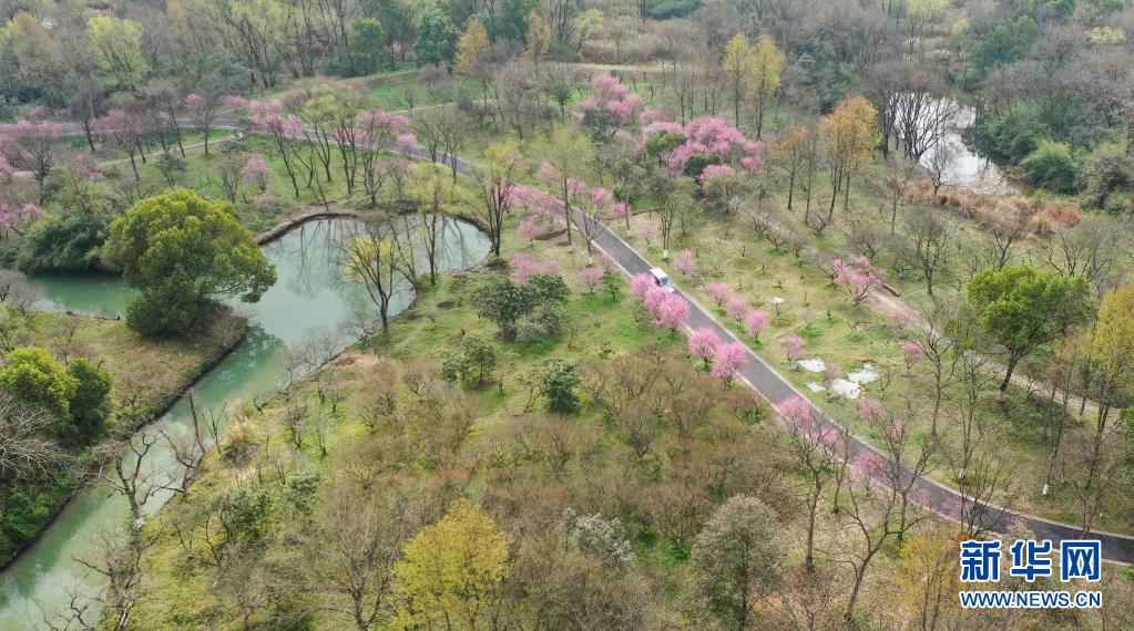 建设人与自然和谐共生的美丽家园习近平生态文明思想基层生动实践新观察