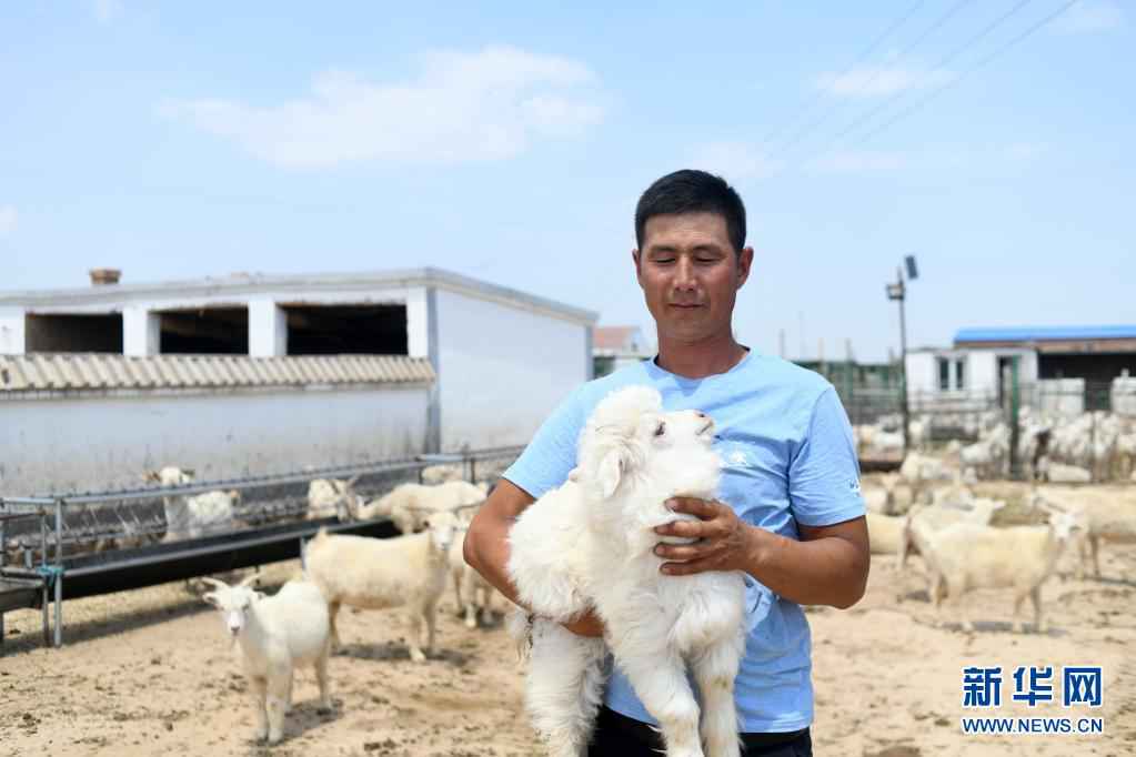 建设人与自然和谐共生的美丽家园习近平生态文明思想基层生动实践新观察