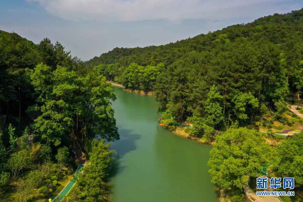 建设人与自然和谐共生的美丽家园习近平生态文明思想基层生动实践新观察