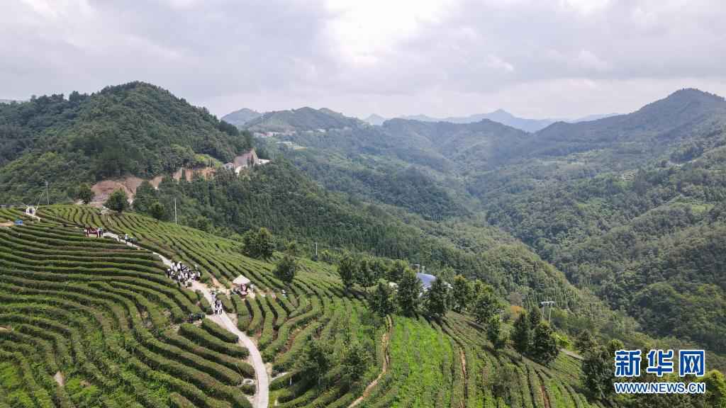 建设人与自然和谐共生的美丽家园习近平生态文明思想基层生动实践新观察