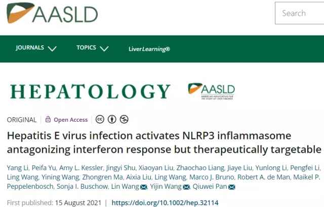 Hepatology | 南方科技大学等多单位合作，王艺瑾等揭示戊型肝炎病毒的潜在致病机理
