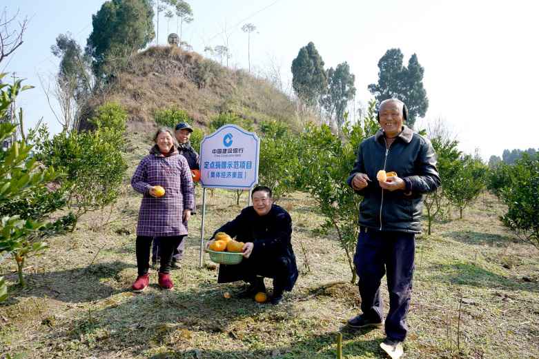 建行四川省分行：振兴笔，精细触，如画乡村多彩“画”