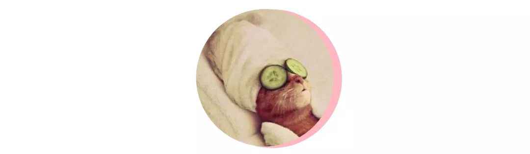 郑爽一谈恋爱就整容??这次真的美到霸屏好吗!!