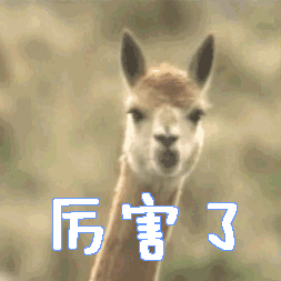 拯救你的干老皱,这一支震惊你