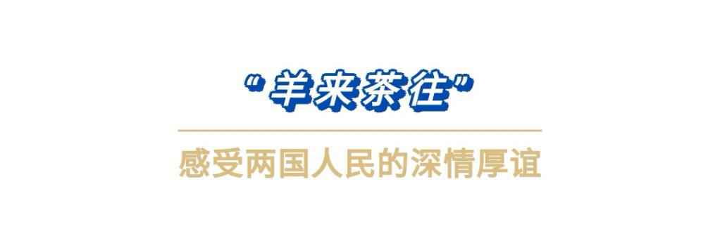 习主席提到中蒙“更好的明天”,正在实现