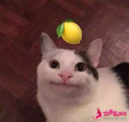 60 后和 90 后的颜值对比,五十几岁竟然也没输?!