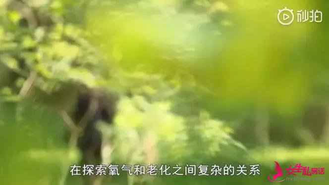如何减缓衰老?BBC纪录片:做到这三点,老的慢没难度!