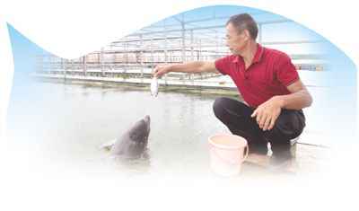 迁地保护：保护长江江豚最直接最有效的措施
