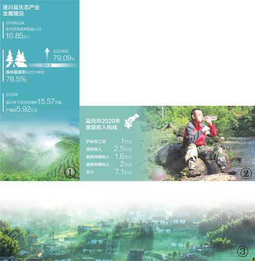 守好青山换来金山(深度观察)