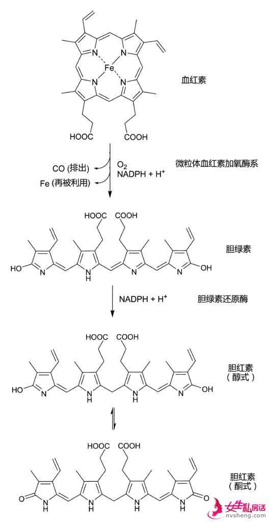 “绝症”黑眼圈没救了?不,用对眼霜就可以!