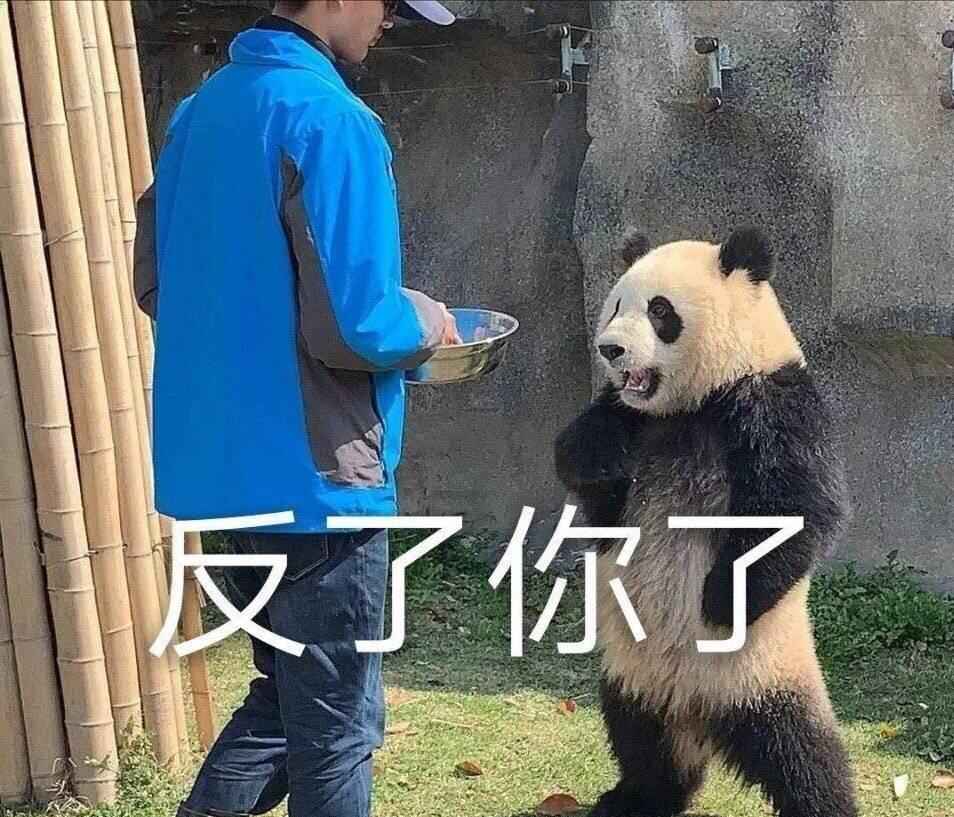 搞笑反了你了