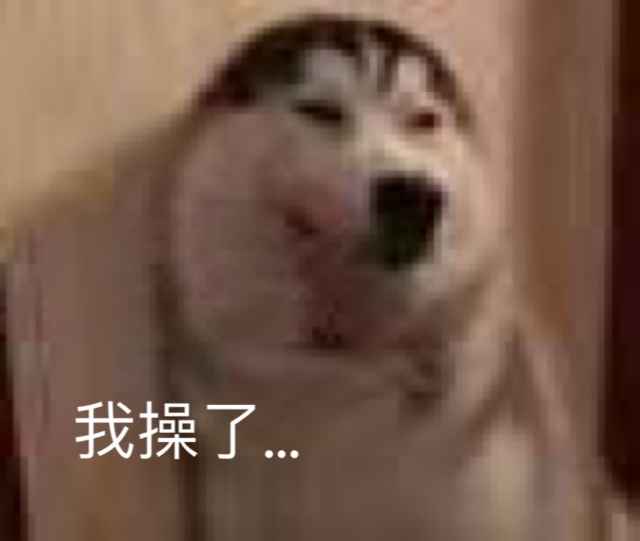 搞笑狗狗：我操了