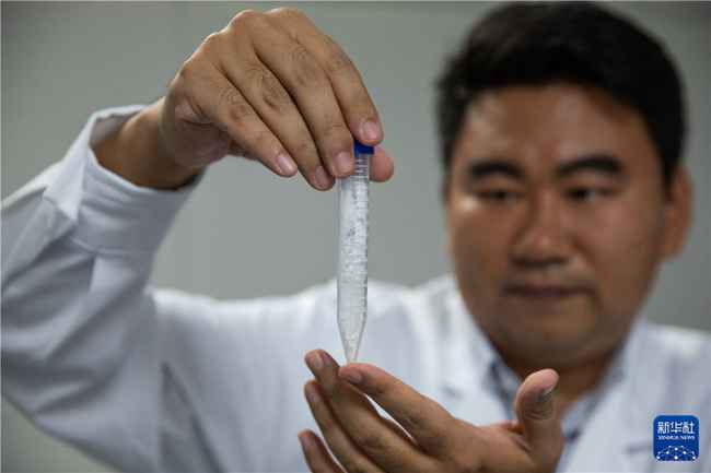 从二氧化碳到淀粉 我国率先突破的这项人工合成技术有何亮点?