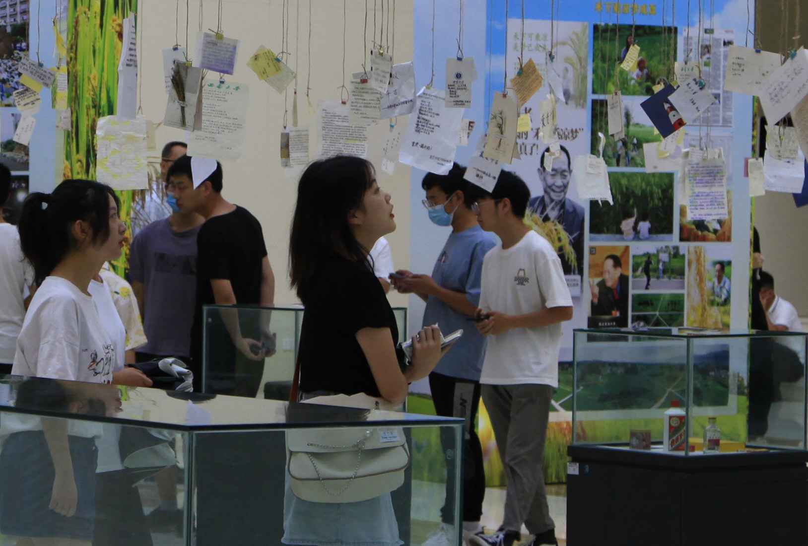 丰收节忆袁老 西南大学举办袁隆平院士主题教育展