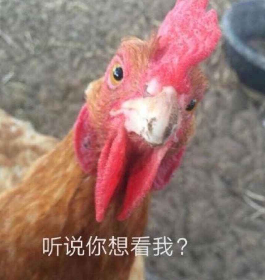 搞笑听说你想看我？