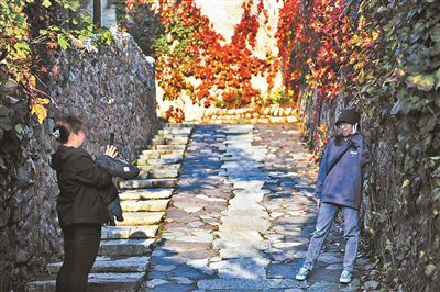 京城推出20处赏红秋景打卡地