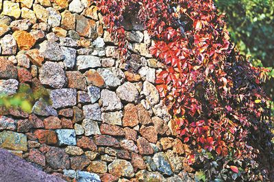 京城推出20处赏红秋景打卡地