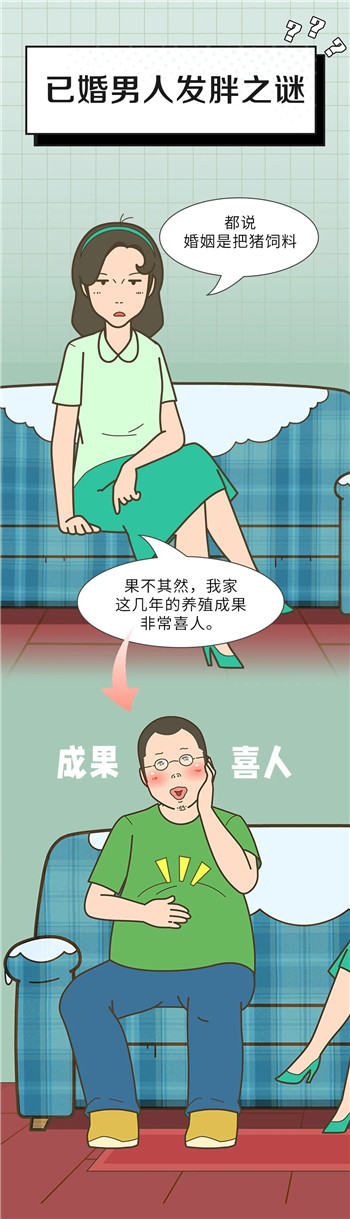 婚姻这把猪饲料，已婚男人发胖之谜