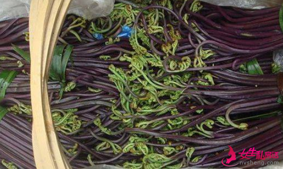 几种野菜清热解毒、提高免疫力、滋润肌肤,还可通便减肥