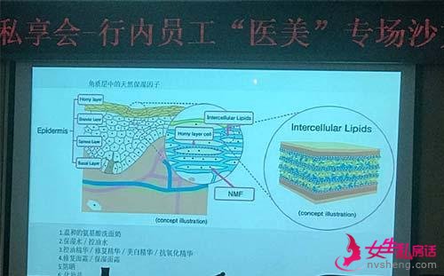 李晓宁:皮肤艳丽私享会现场问答这些题目你有吗?