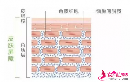 敏感肌晒后修复怎么办？创尔美面膜和小魔瓶修复精华来拯救