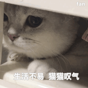1 孩子爱顶嘴气死人?其实,这是成长的好机会!