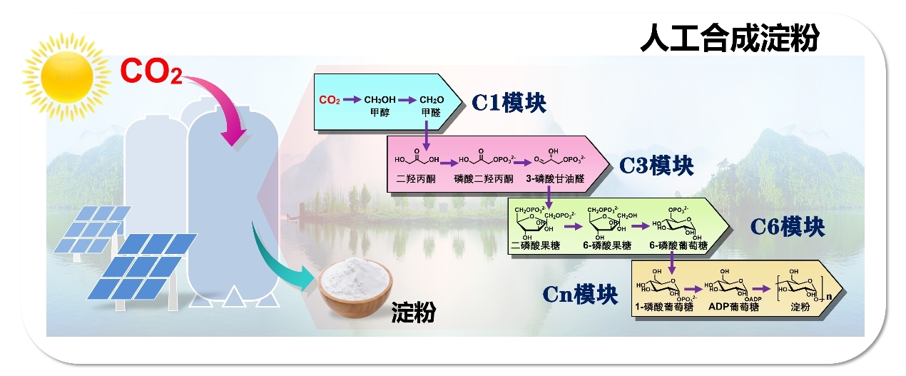 2021年度中国生命科学十大进展揭晓