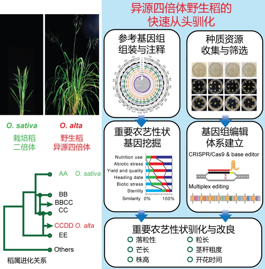 2021年度中国生命科学十大进展揭晓