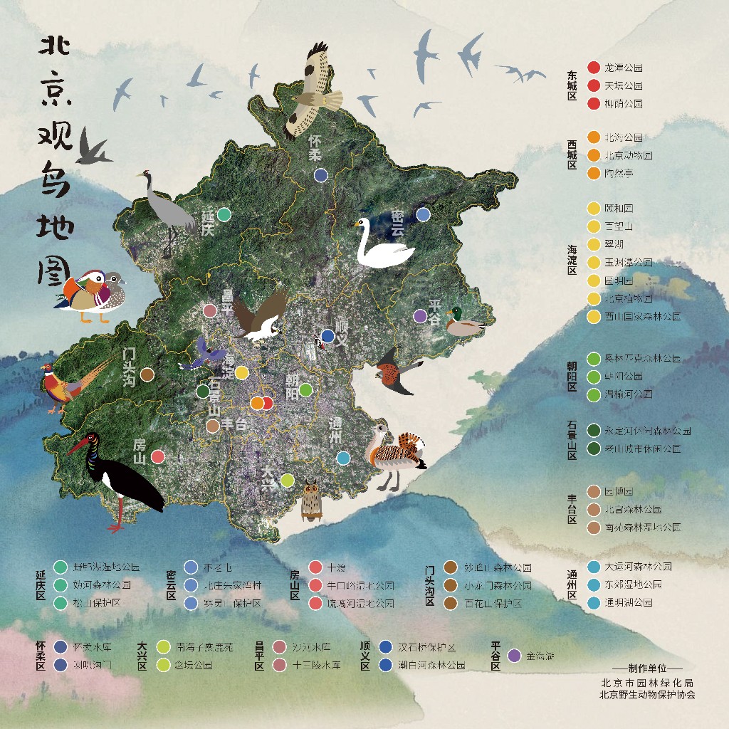 45处观鸟点！北京发布观鸟地图