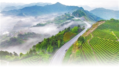 “四好农村路”铺就发展快车道(大数据观察)